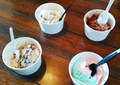 Chocolate-Moose-Ice-Creams